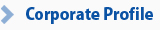 Corporate Information